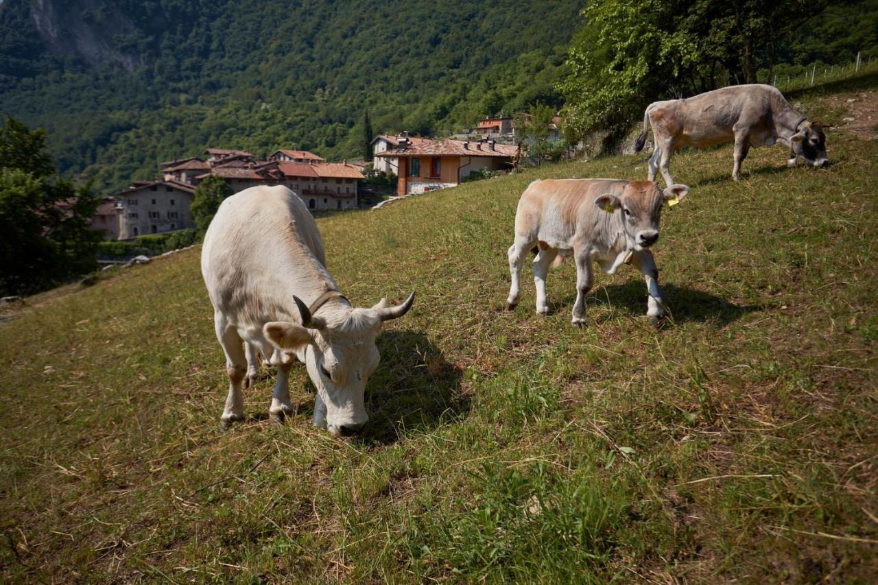 Villa Le Terre Di Gu Tenno Exterior foto